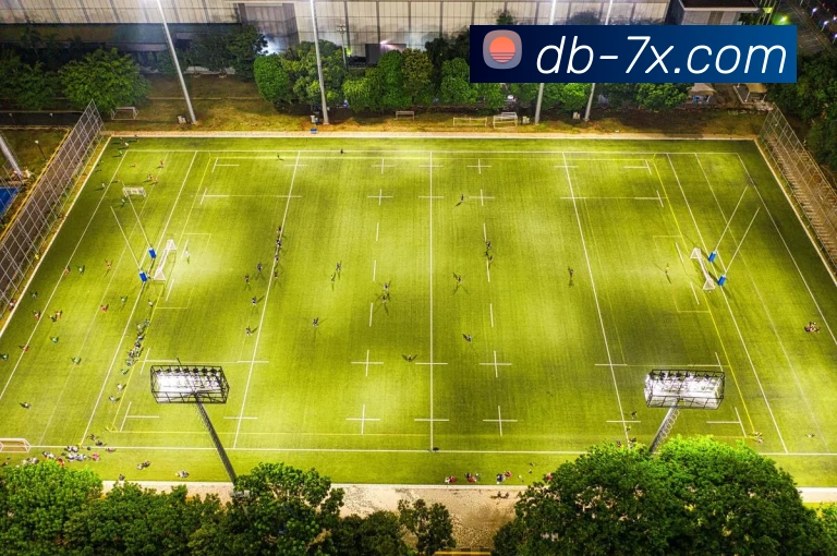 DB真人APP 封面图